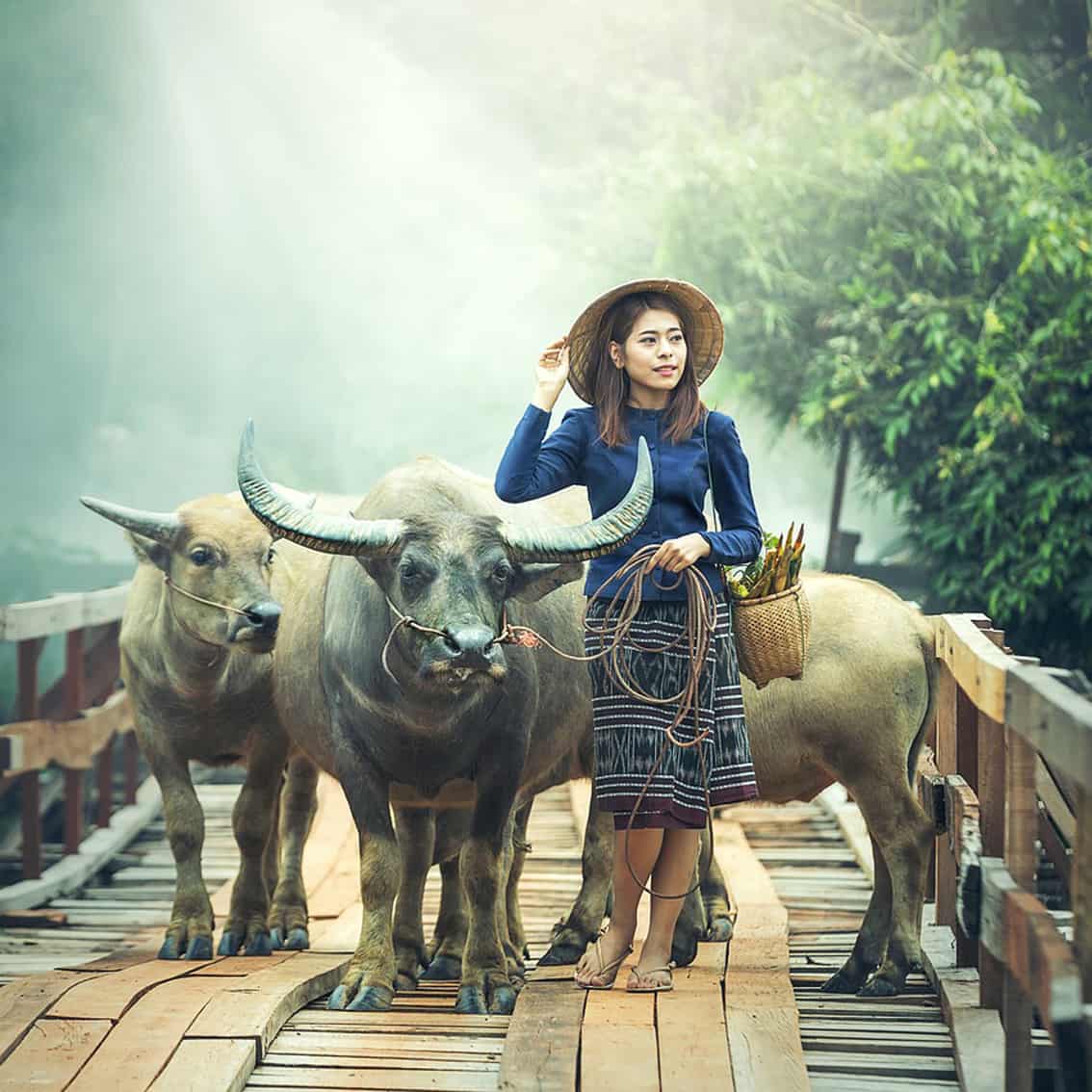 Northeast Woman